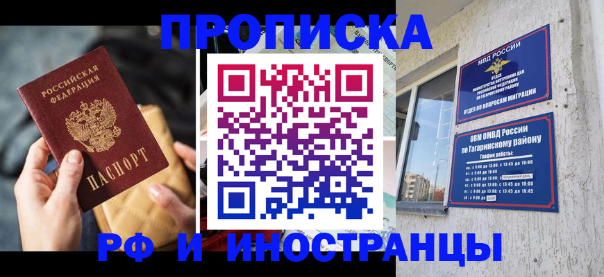 прописка поиск в Химках